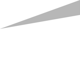 ernst & Young ernst & Young