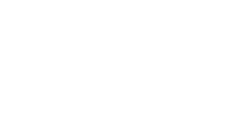 roche roche