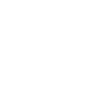 icon of a virtual coach